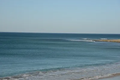 DSC_1444 (Large).JPG